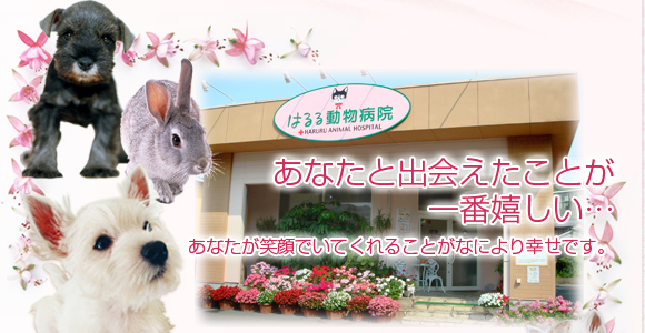 HOME �����a�@ �R��������s �� �L