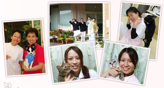 �X�^�b�t�͏����΂���A�Ί炪�₦�Ȃ����邢�a�@�ł�