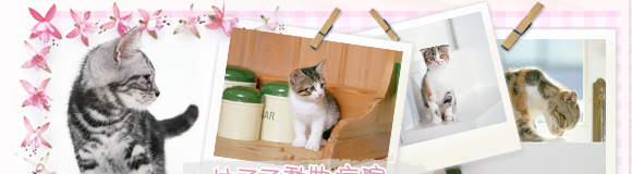 スタッフ紹介/院内紹介 動物病院 山口県長門市 犬 猫