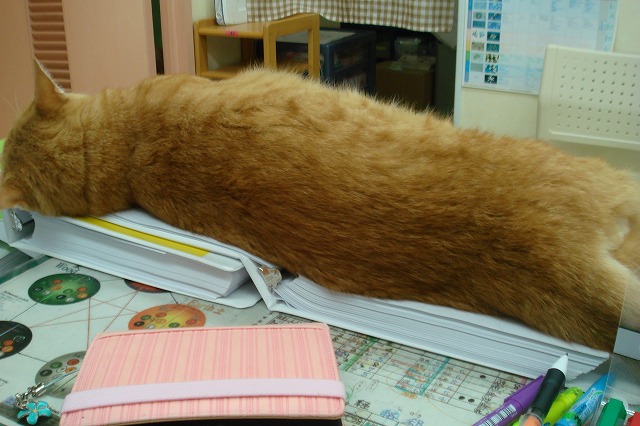 じゃまのら1