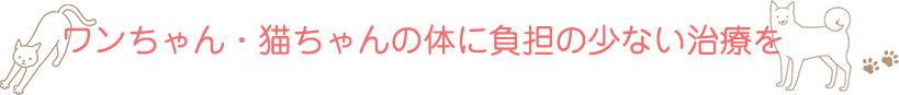 ワンちゃん・猫ちゃんの体に負担の少ない治療を