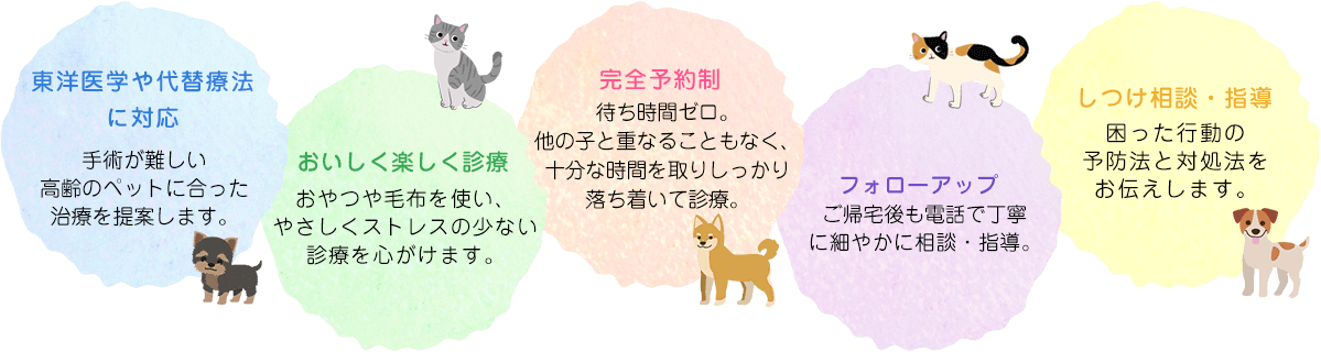 東洋医学や代替両方に対応 おいしく楽しく診療 完全予約制 フォローアップ しつけ相談・指導